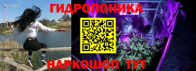 СК Бердск