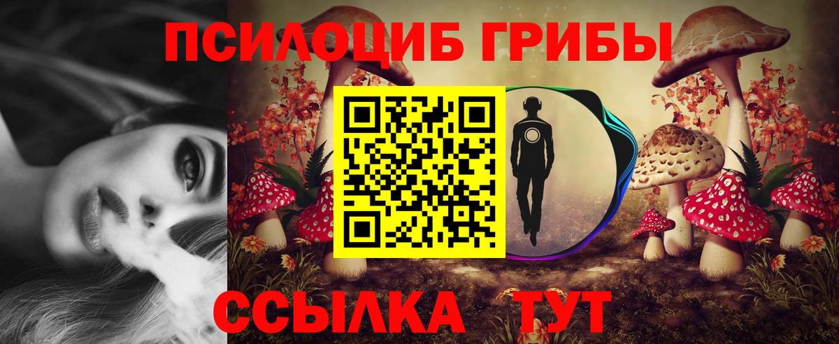 Псилоцибиновые грибы ЛСД Асино