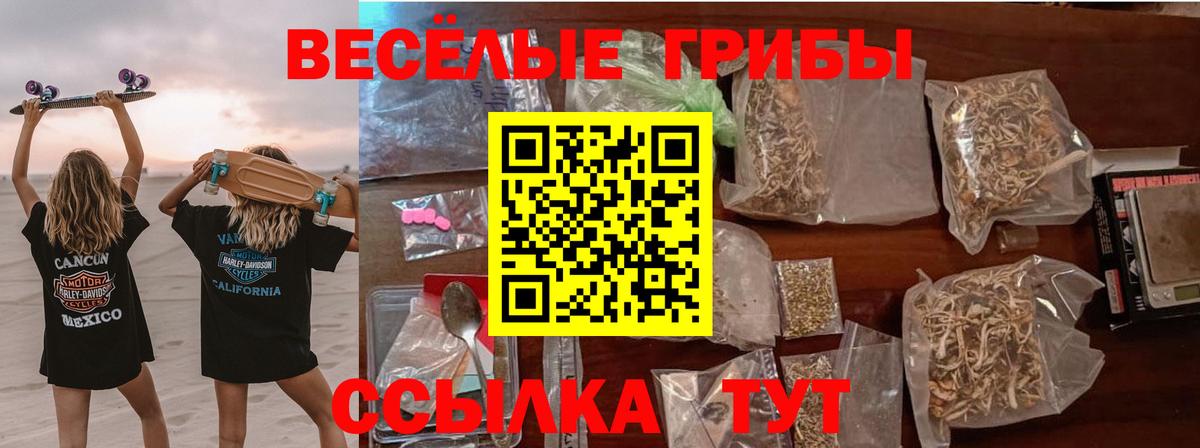 Асино  Галлюциногенные грибы Magic Shrooms  Вход с VPN 