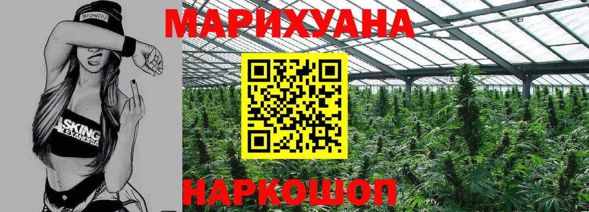 Бошки марихуана планчик  Вход с VPN  Асино  Марихуана планчик 